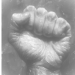 SOMOS UNOS LUCHADORES